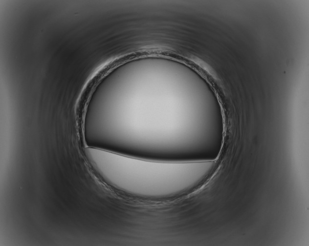 X0000085051022200703051041