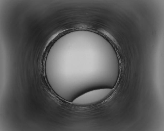 X0000085051023200703051041