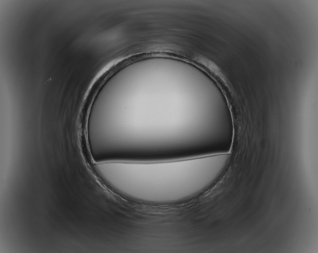 X0000085051024200703051041