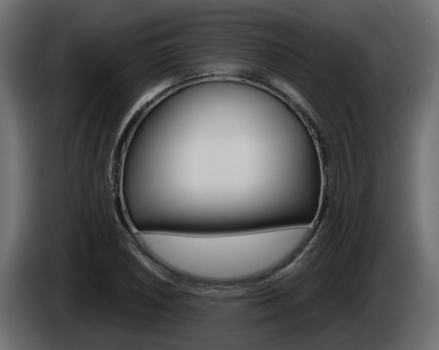 X0000085051026200703051041