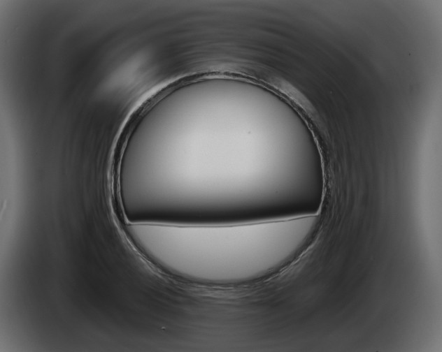 X0000085051028200703051041