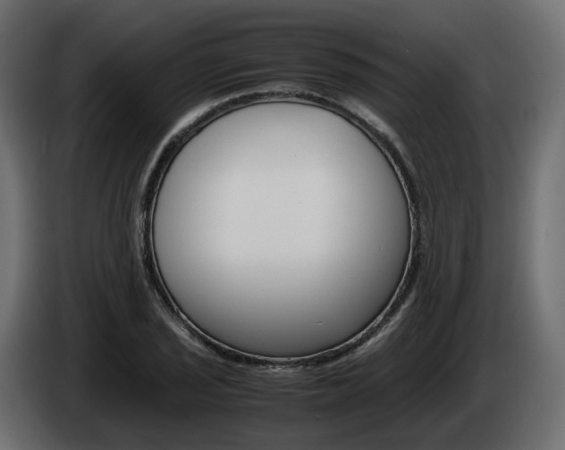 X0000085051029200703051041