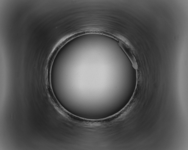 X0000085051030200703051041