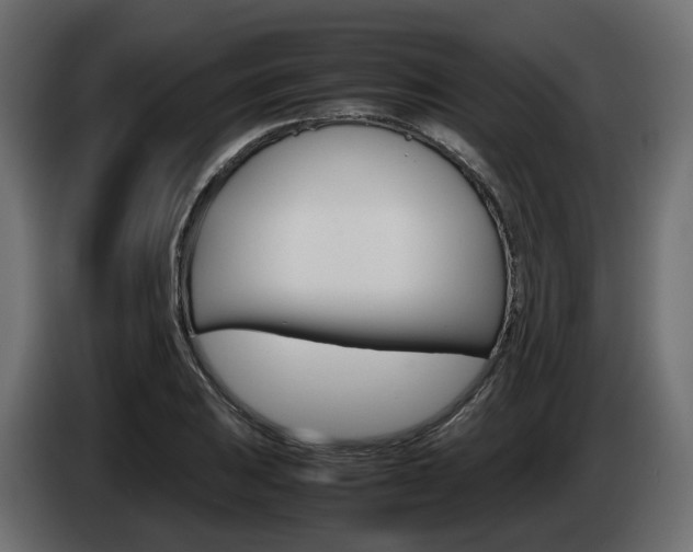 X0000085051031200703051041