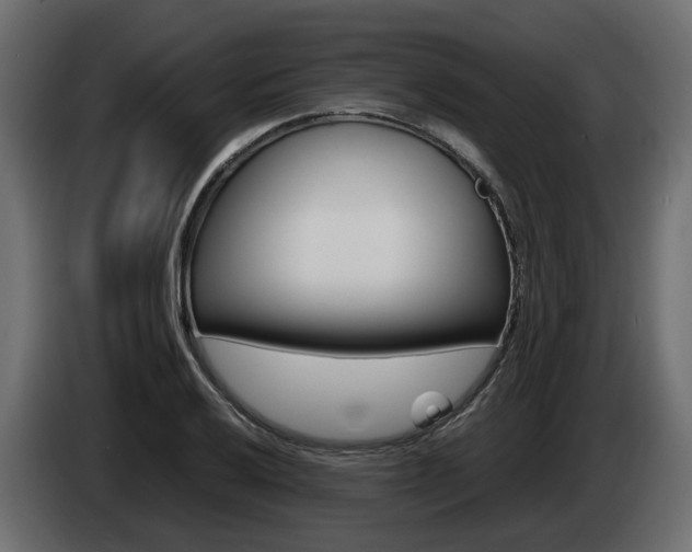 X0000085051032200703051041