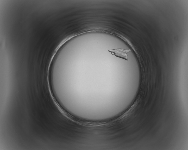 X0000085051034200703051041