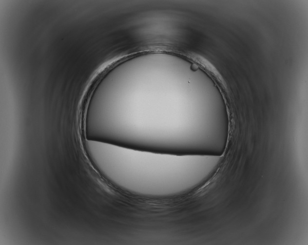 X0000085051035200703051041