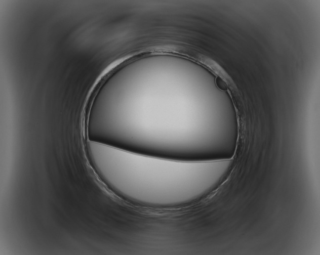 X0000085051036200703051041