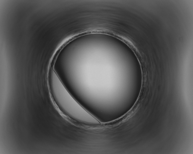 X0000085051038200703051041
