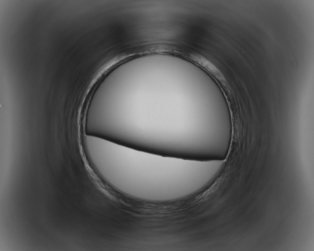 X0000085051039200703051041