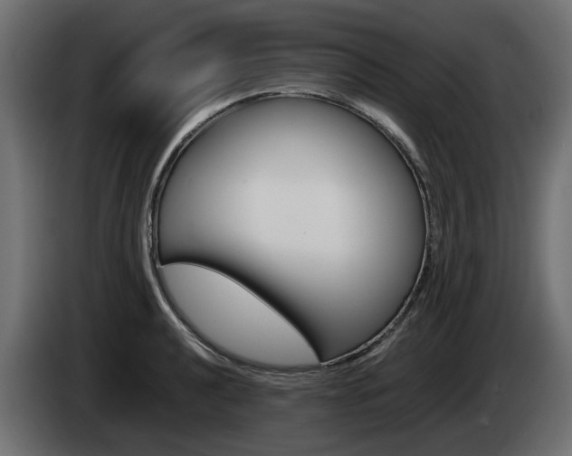 X0000085051040200703051041