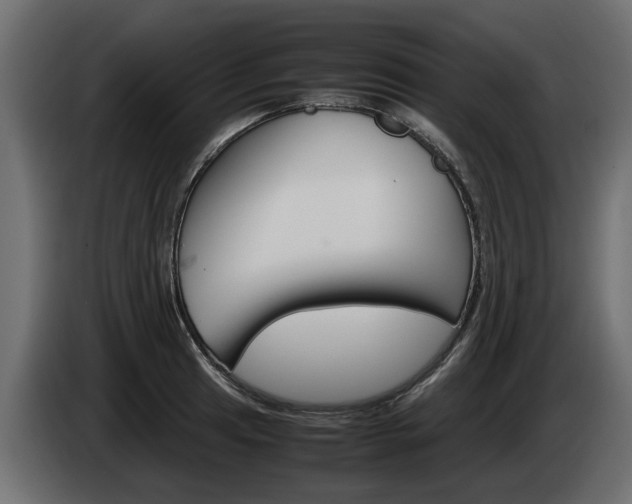 X0000085051041200703051041