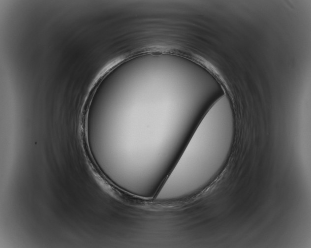 X0000085051042200703051041