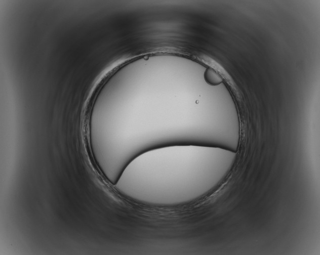 X0000085051043200703051041