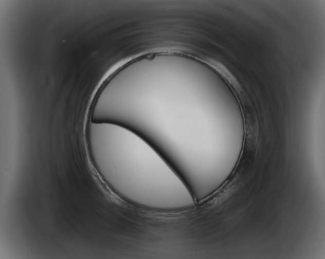 X0000085051044200703051041