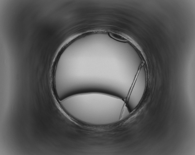 X0000085051045200703051041