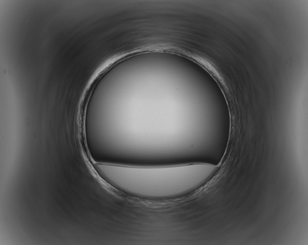 X0000085051046200703051041