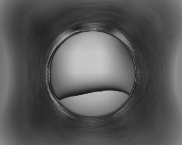 X0000085051047200703051041