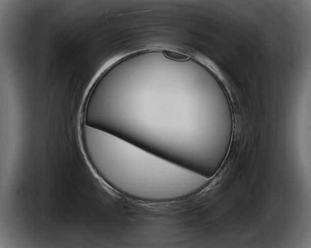X0000085051048200703051041