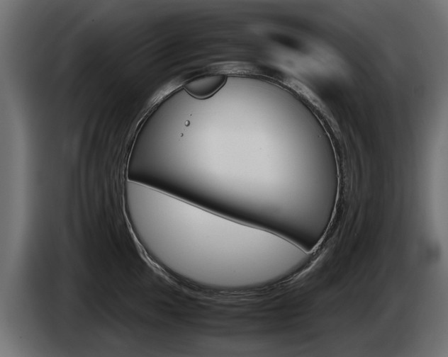 X0000085051049200703051041