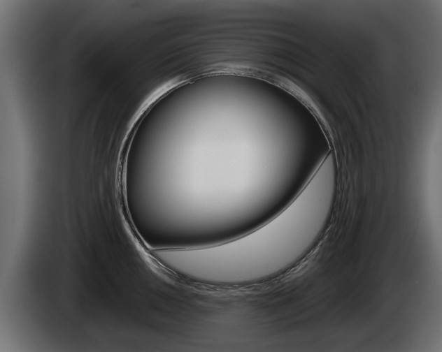 X0000085051050200703051041