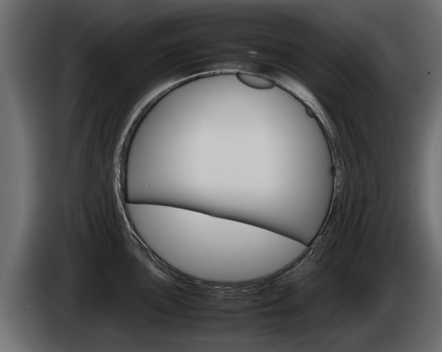 X0000085051051200703051041
