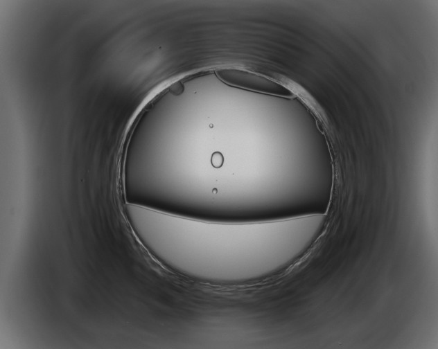X0000085051052200703051041