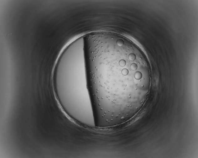 X0000085051053200703051041