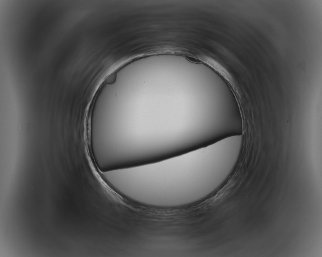 X0000085051055200703051041