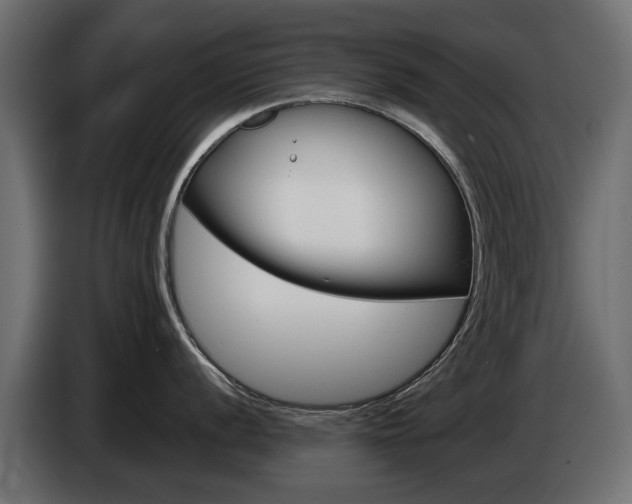 X0000085051056200703051041