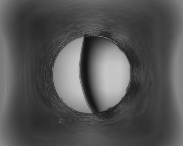 X0000085051057200703051041