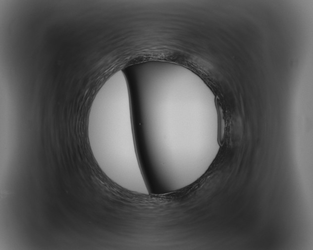 X0000085051058200703051041