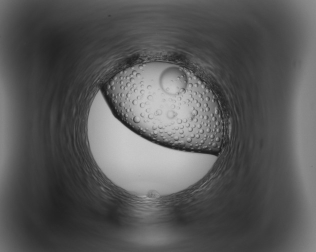 X0000085051059200703051041