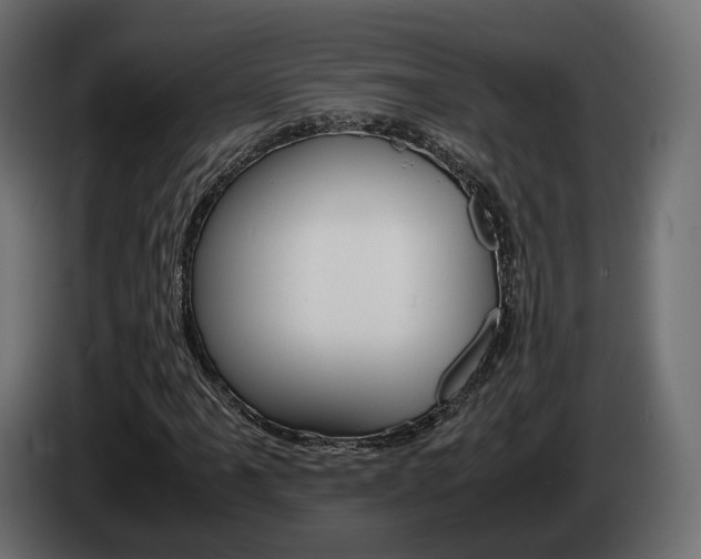 X0000085051061200703051040