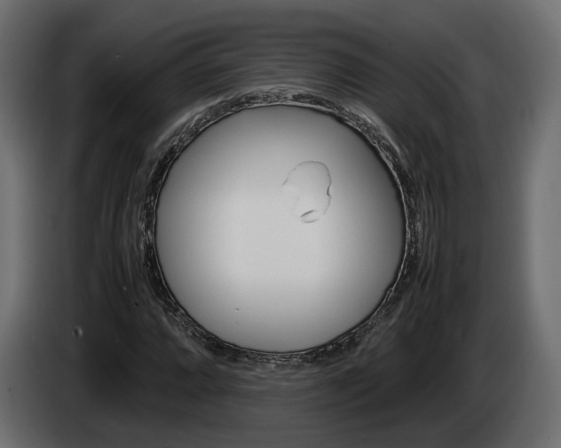 X0000085051064200703051040