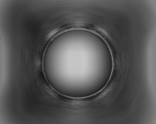 X0000085051065200703051040