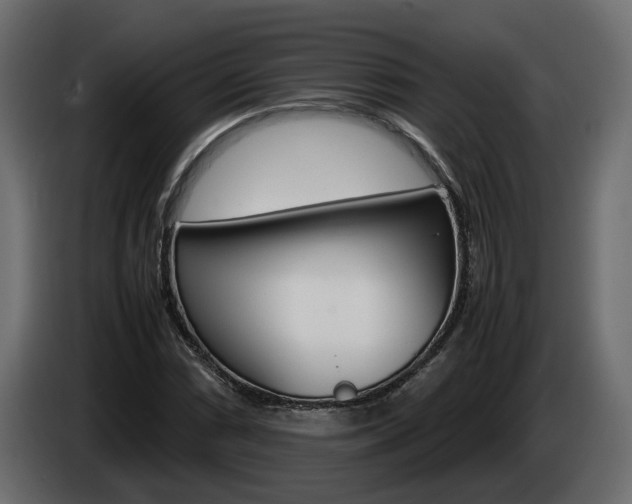 X0000085051066200703051040