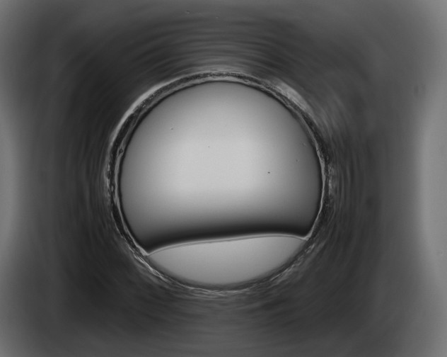 X0000085051068200703051040