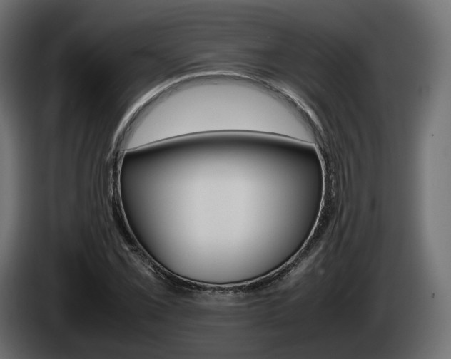 X0000085051069200703051040