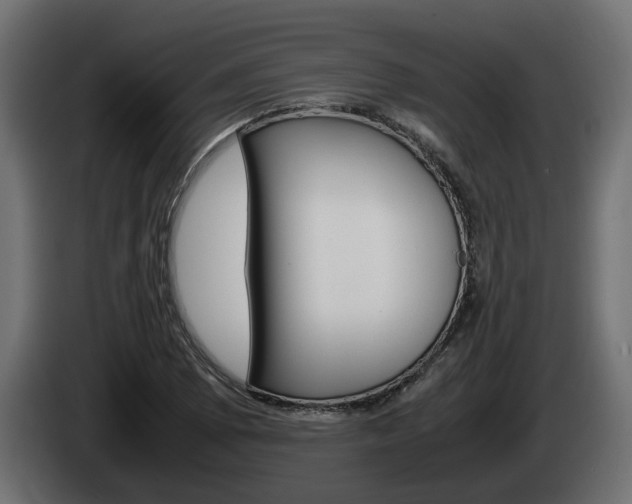 X0000085051073200703051040