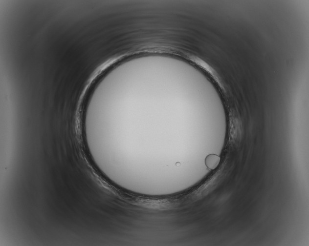 X0000085051074200703051040