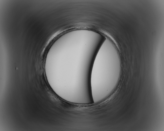 X0000085051075200703051040