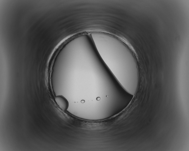 X0000085051076200703051040