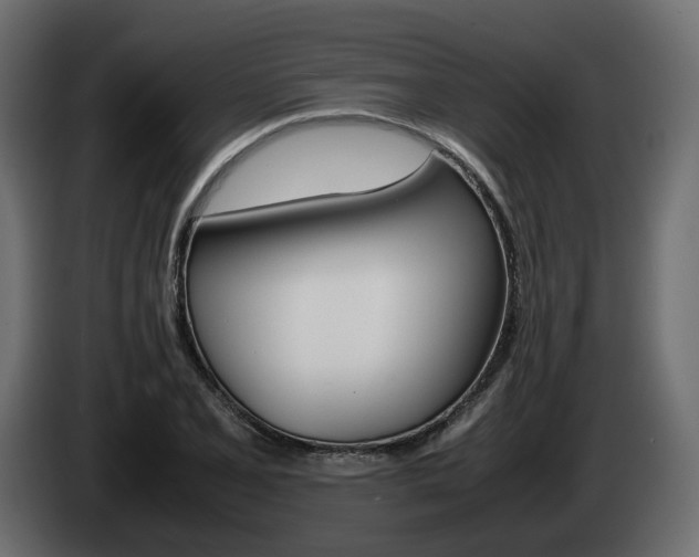 X0000085051077200703051040