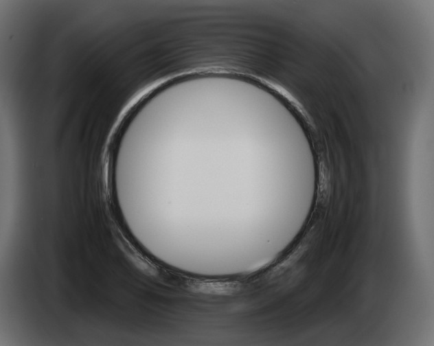 X0000085051078200703051040