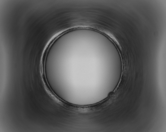 X0000085051080200703051040