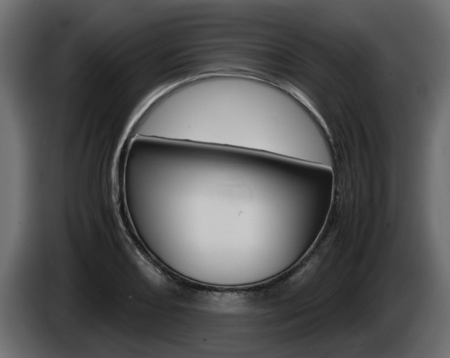 X0000085051082200703051040