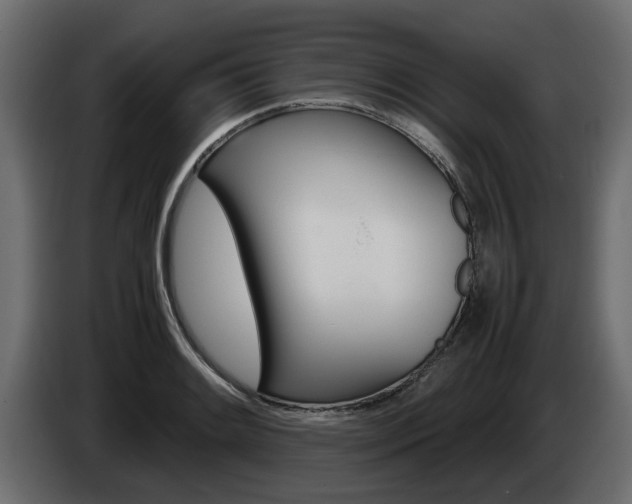 X0000085051084200703051040