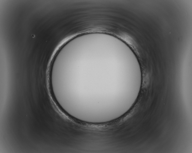 X0000085051086200703051040