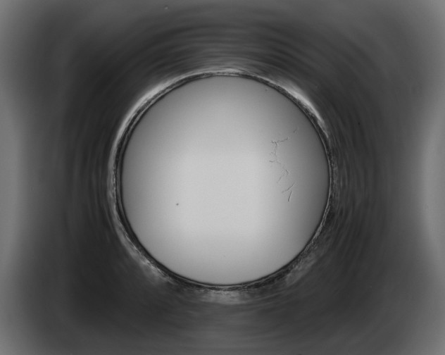 X0000085051088200703051040